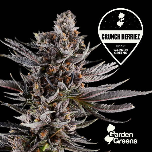 Crunch Berriez flower with its strain badge