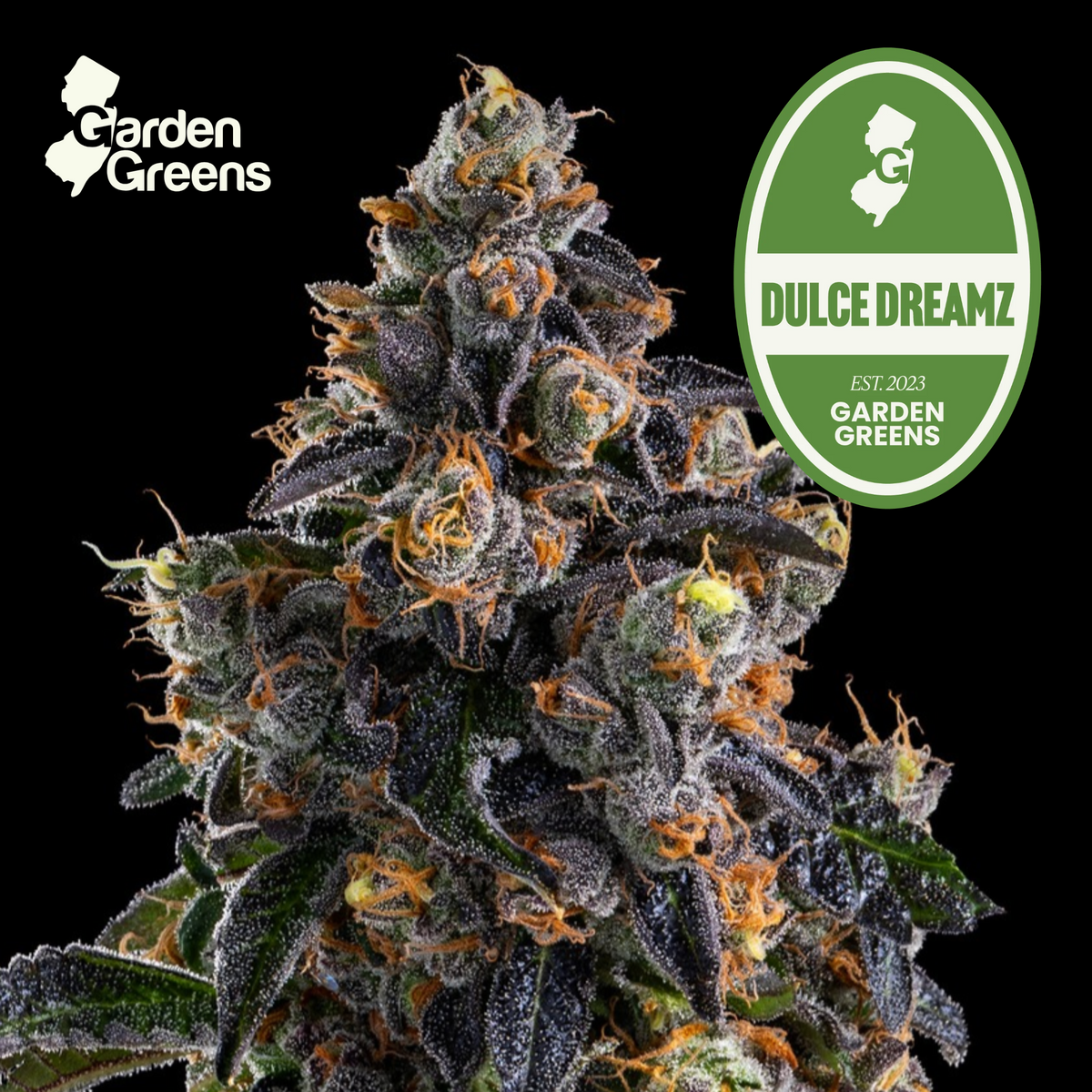 Dulce Dreamz flower with its Garden Greens strain badge