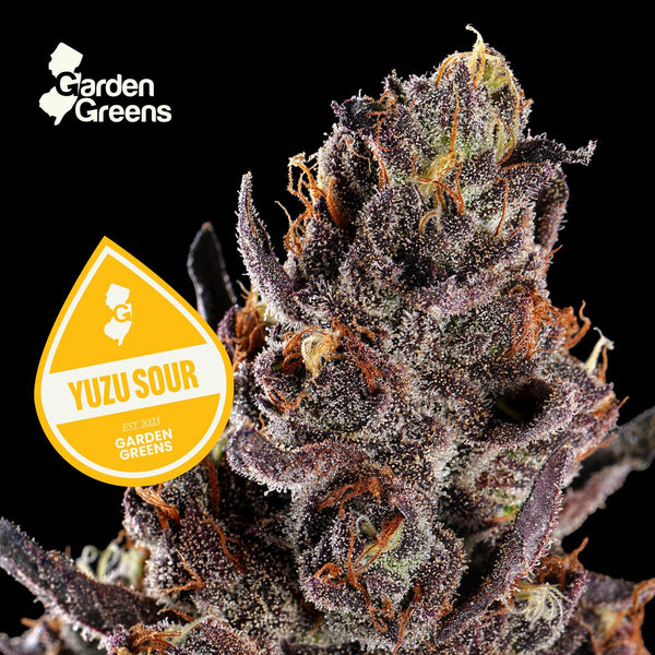 Yuzu Sour flower with its strain badge