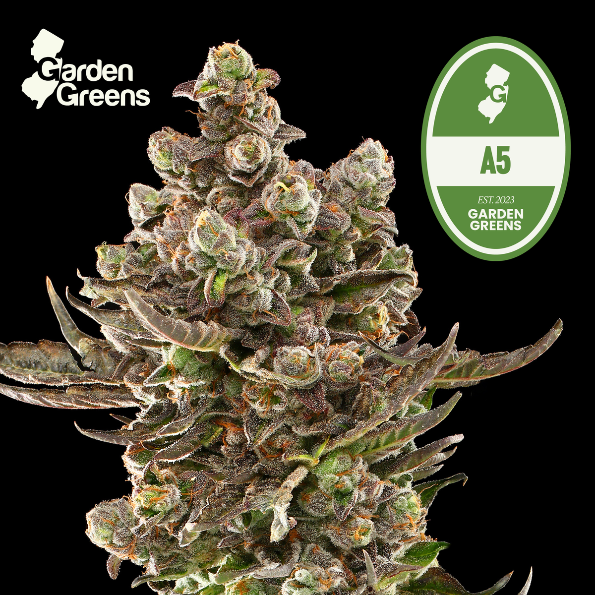 A5 flower with its Garden Greens strain badge