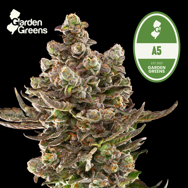 A5 flower with its strain badge