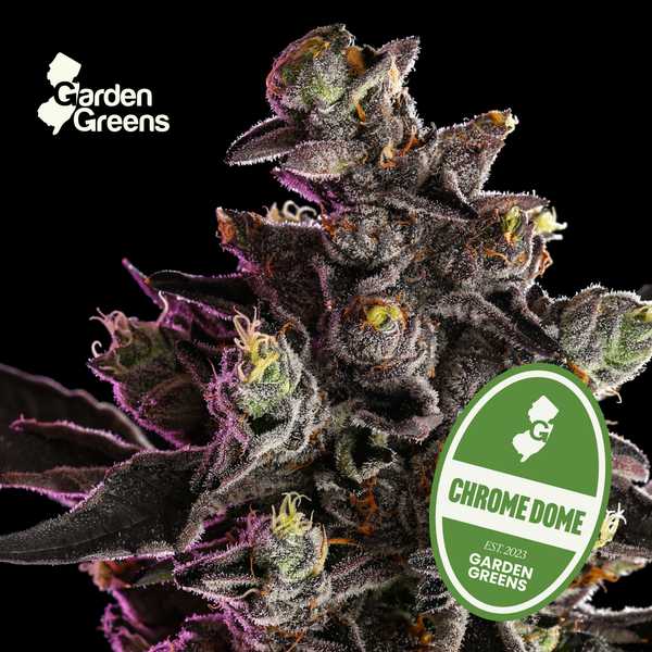 Chrome Dome flower with its strain badge
