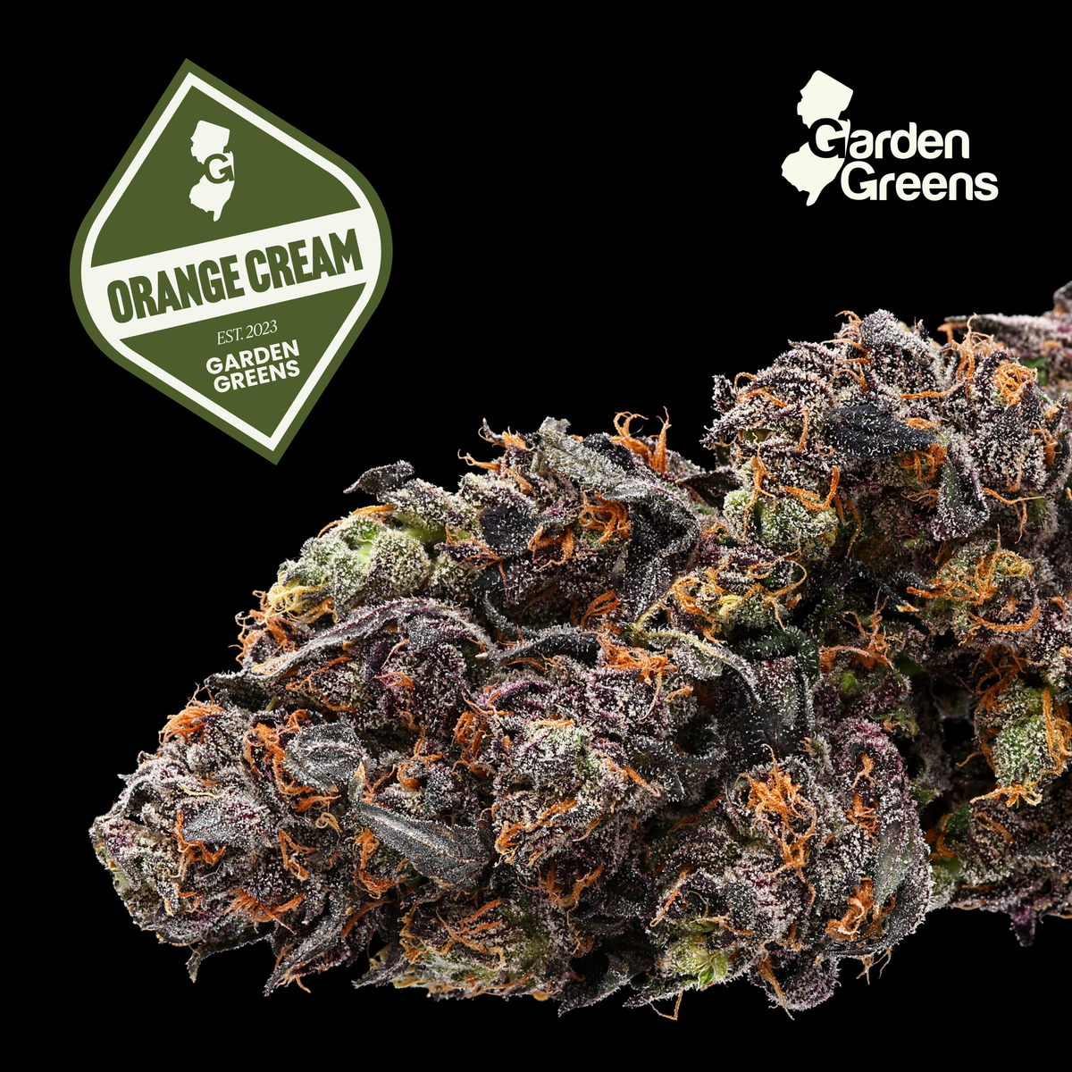 Orange Cream flower with its Garden Greens strain badge