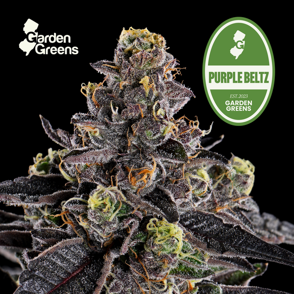 Purple Beltz flower with its strain badge