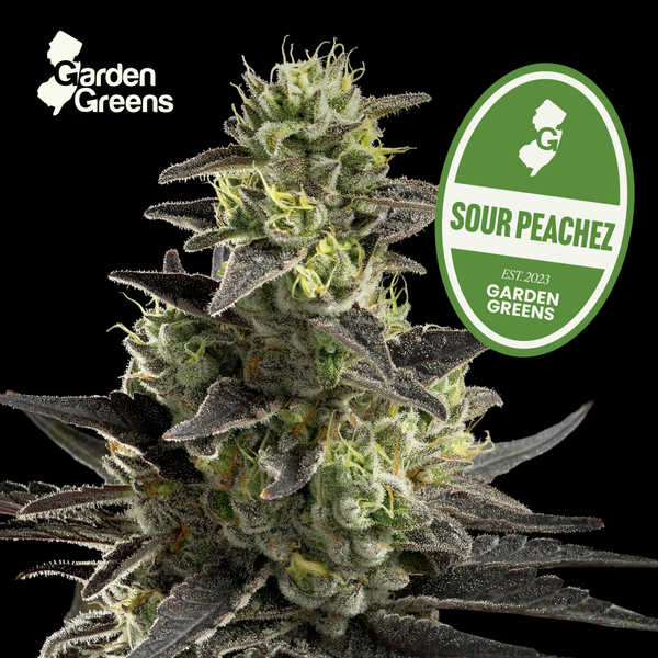 Sour Peachez flower with its strain badge