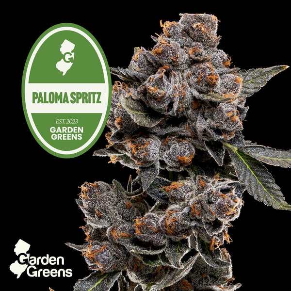 Paloma Spritz flower with its strain badge