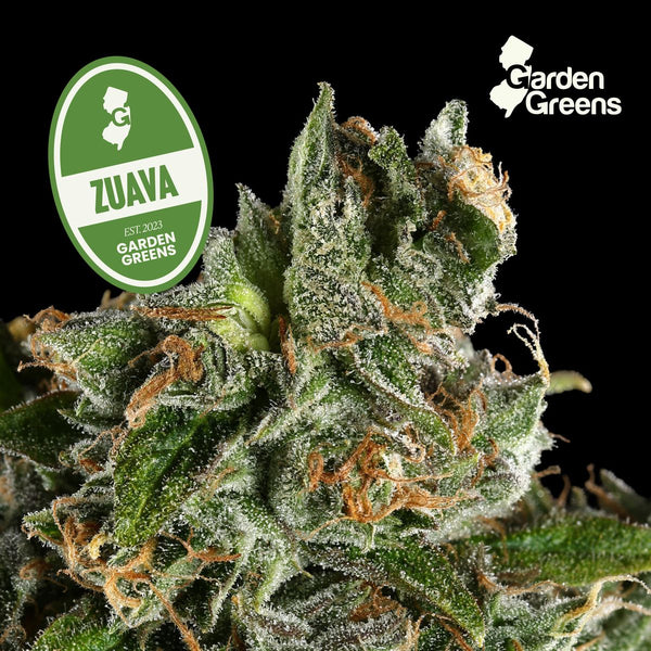 Zuava flower with its strain badge